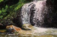 /album/fenykepgaleria/az-arno-szuletese-jpg/